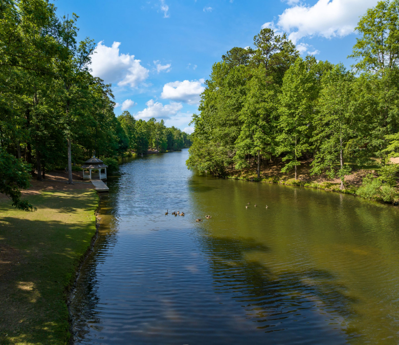 Duck and River