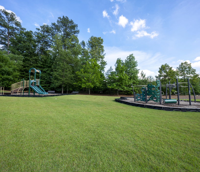 Grass playground and forest