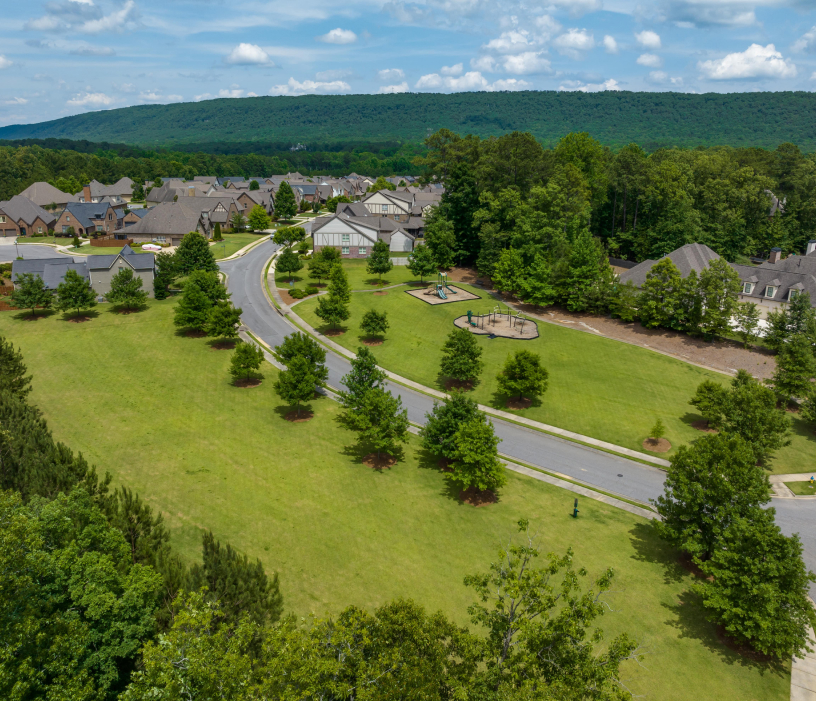 Neighbourhood with park and forest